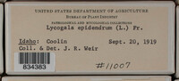 Image Associated With the Occurence